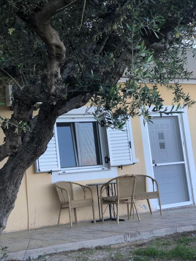 Αgrilitsa House Apartment Vasilitsion ภายนอก รูปภาพ