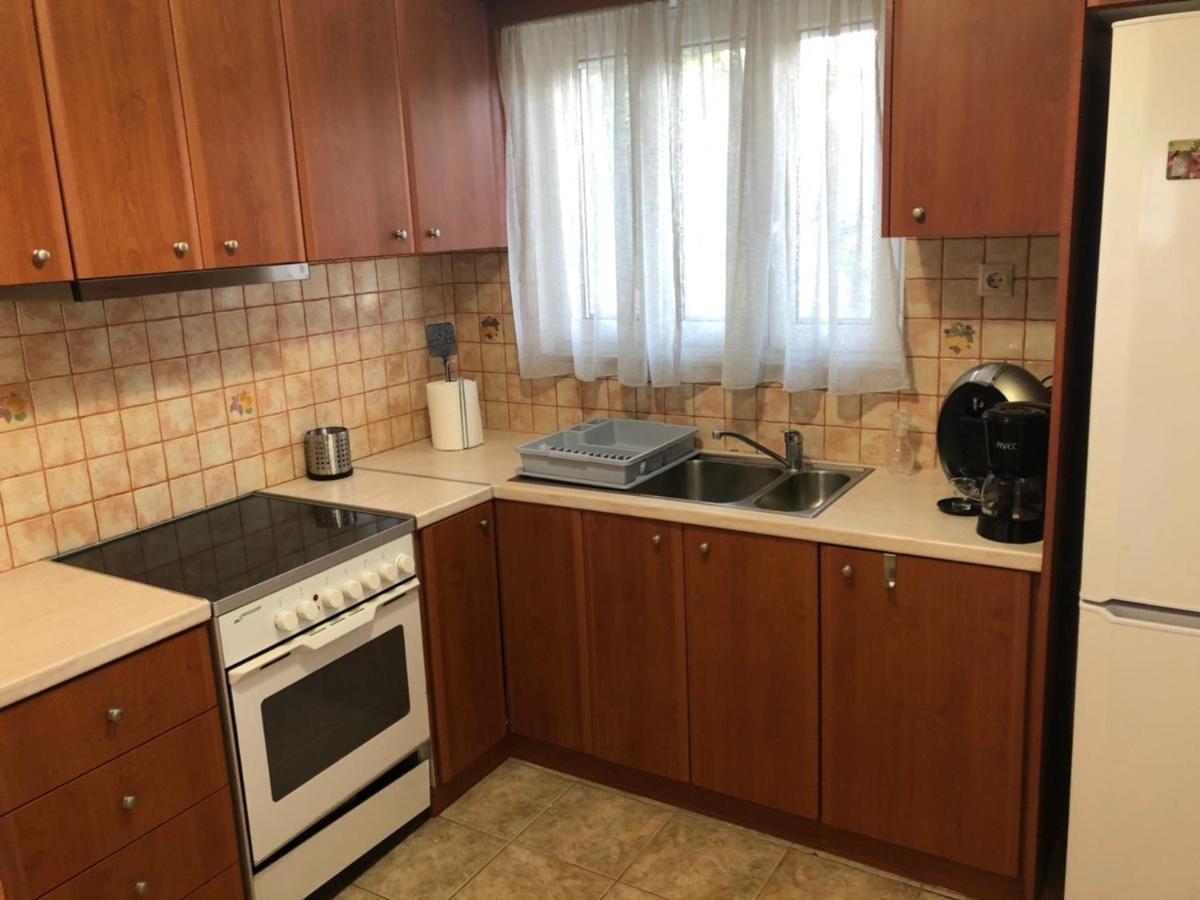 Αgrilitsa House Apartment Vasilitsion ภายนอก รูปภาพ